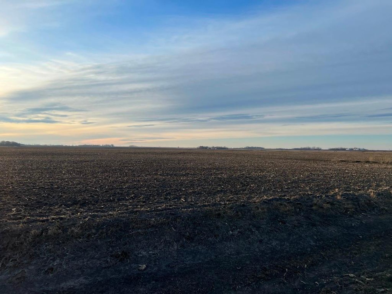 Image for MICHAEL & RENAE OLSON STEVENS COUNTY FARMLAND AUCTION