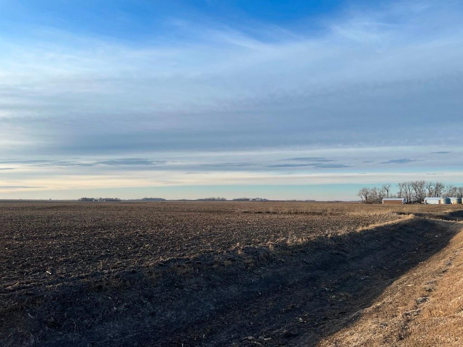 Image for MICHAEL & RENAE OLSON STEVENS COUNTY FARMLAND AUCTION