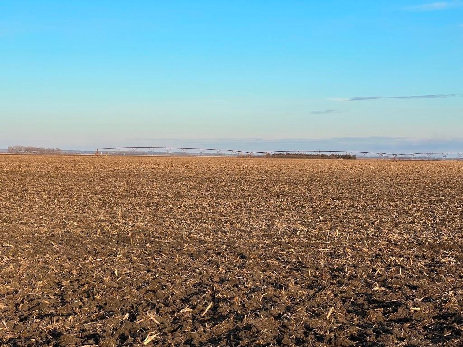 Image for MICHAEL & RENAE OLSON STEVENS COUNTY FARMLAND AUCTION