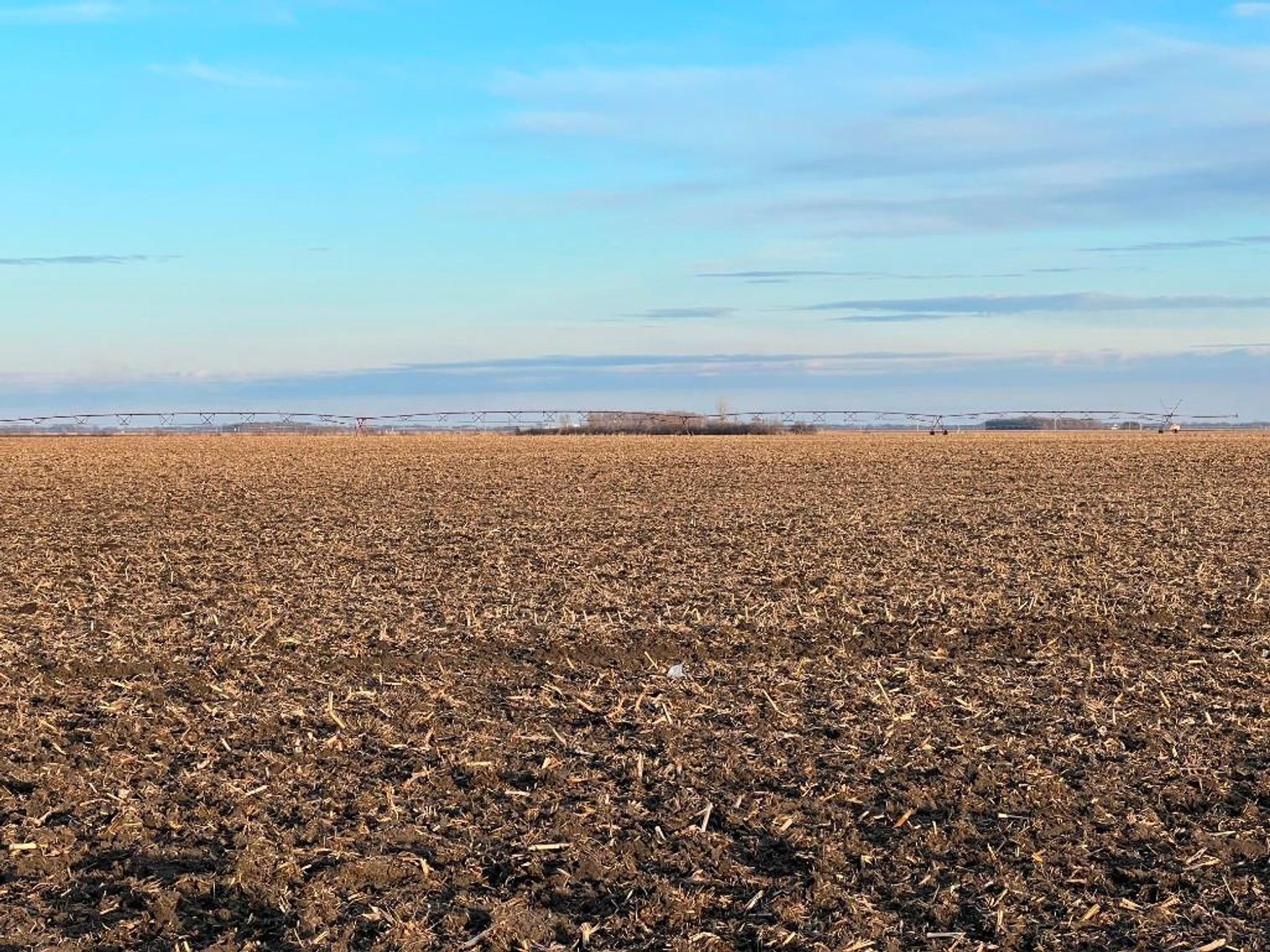 Image for MICHAEL & RENAE OLSON STEVENS COUNTY FARMLAND AUCTION