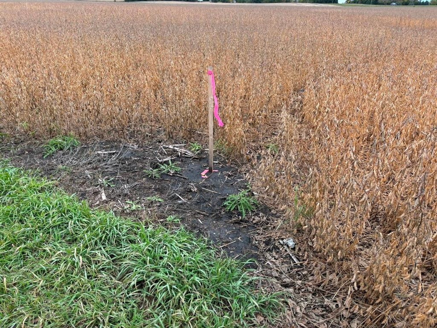 Image for DAVID WIEGERS ESTATE BUILDING SITE ONLINE ONLY AUCTION