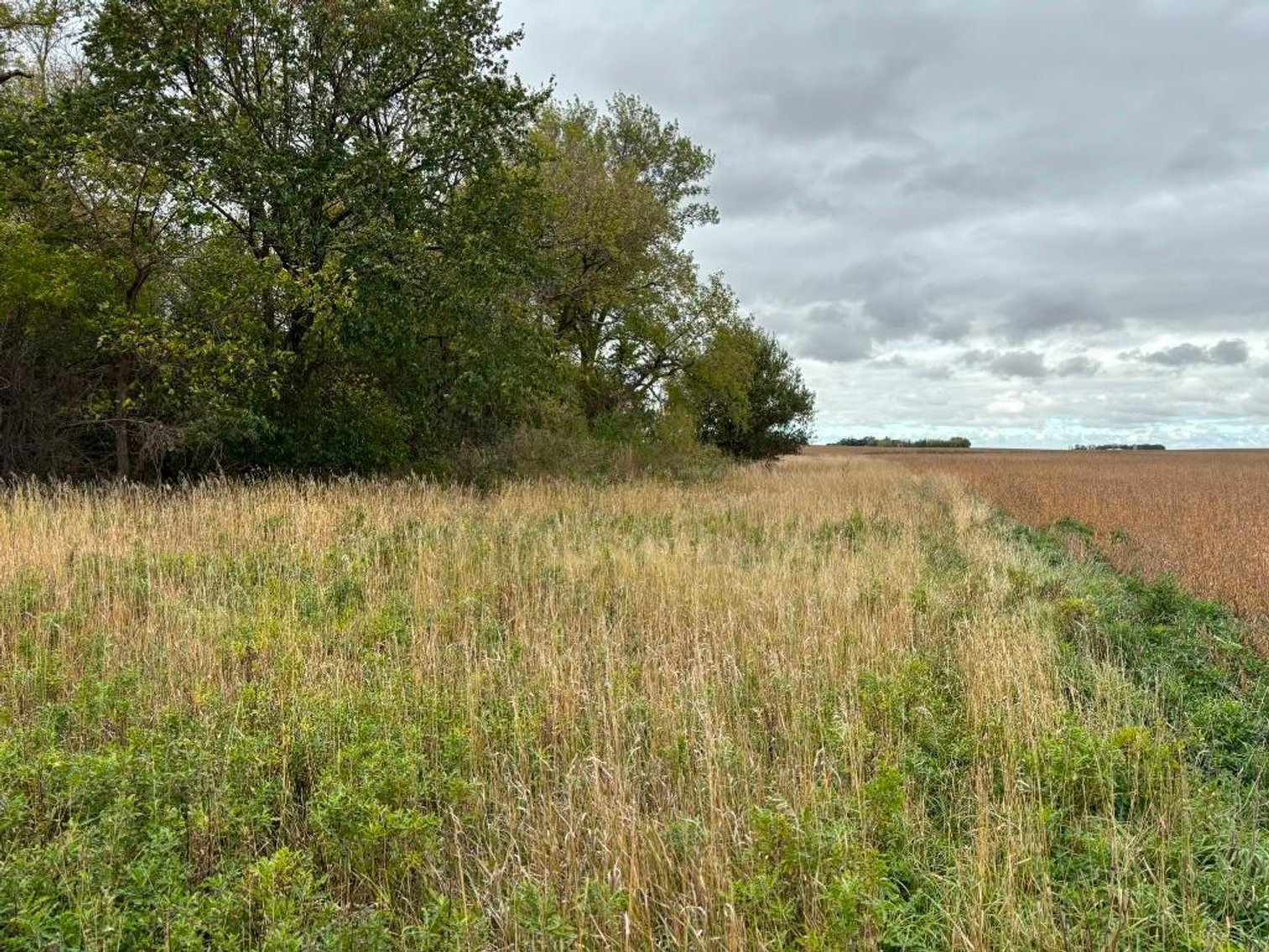 Image for DAVID WIEGERS ESTATE BUILDING SITE ONLINE ONLY AUCTION