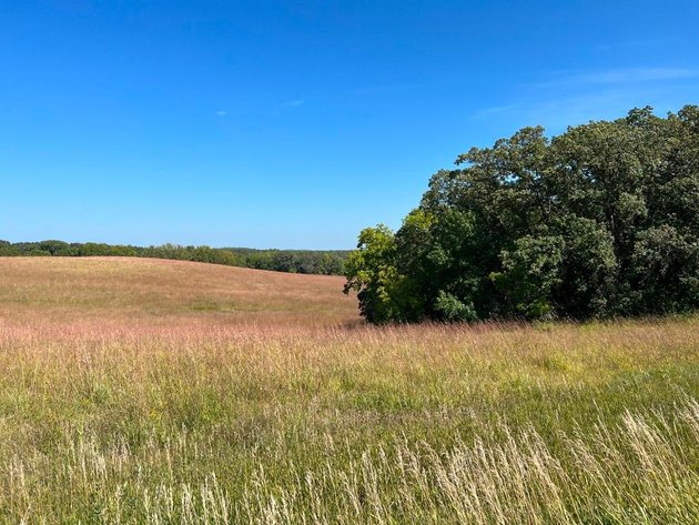 Image for JIM & CINDY HJELM ONLINE ONLY LAND AUCTION