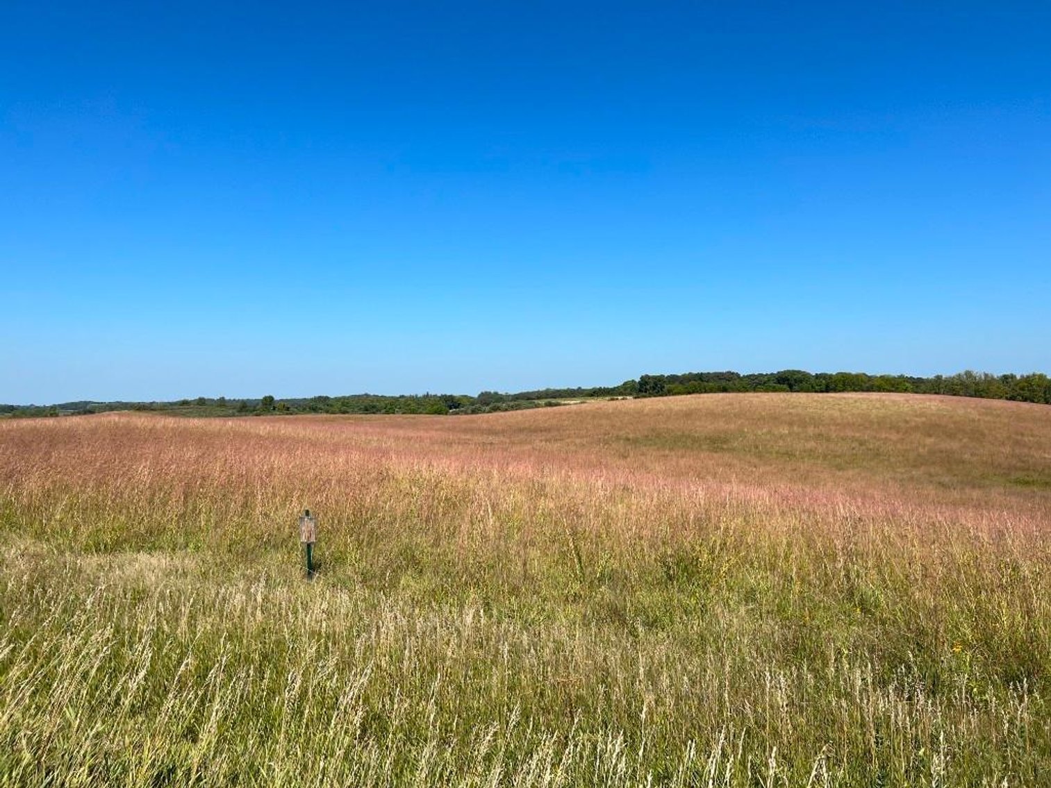 Image for JIM & CINDY HJELM ONLINE ONLY LAND AUCTION