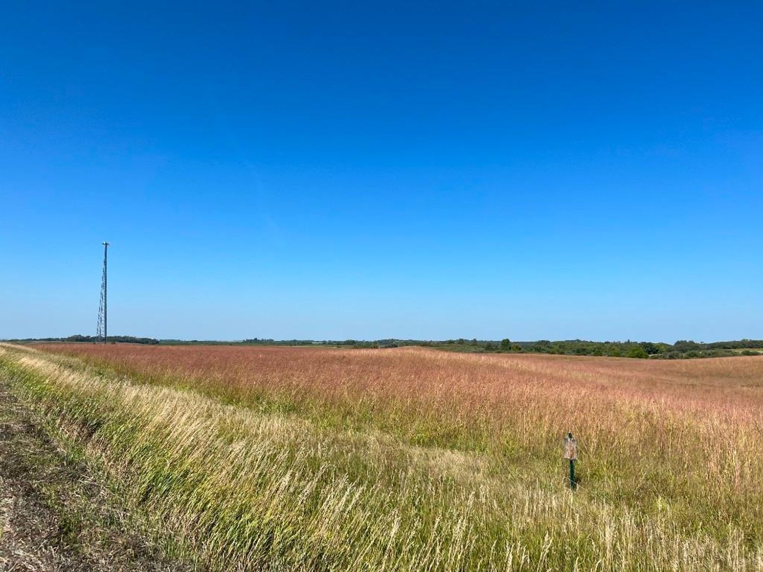 Image for JIM & CINDY HJELM ONLINE ONLY LAND AUCTION