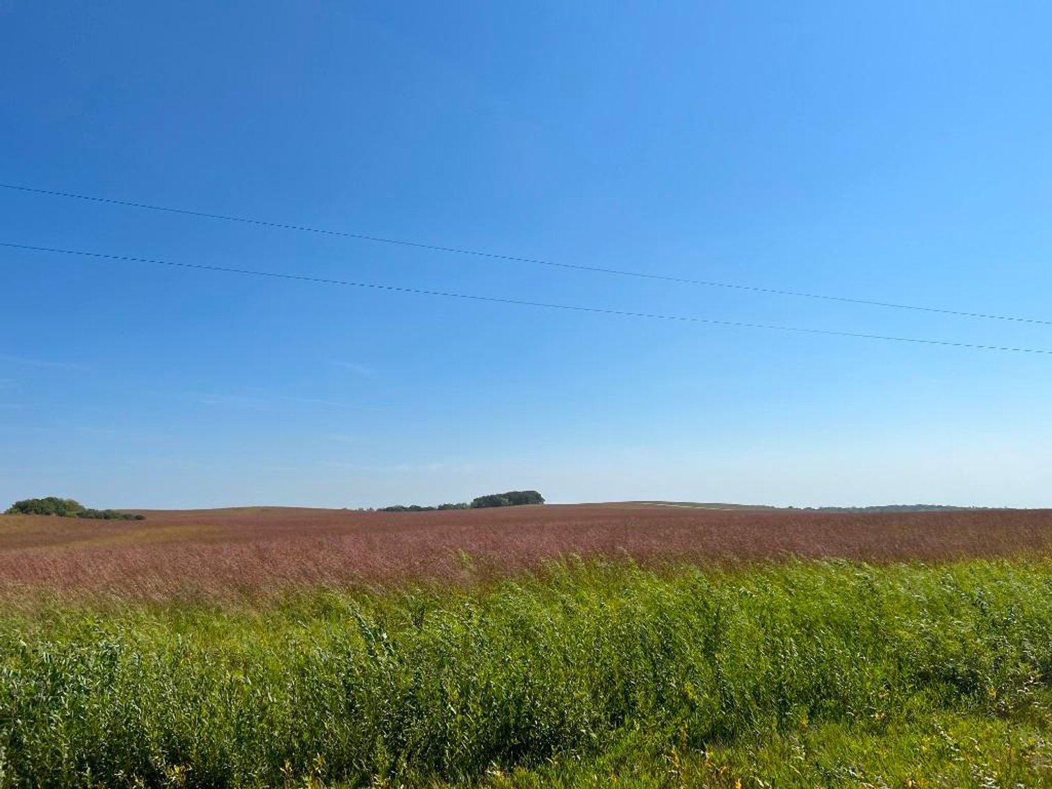 Image for JIM & CINDY HJELM ONLINE ONLY LAND AUCTION