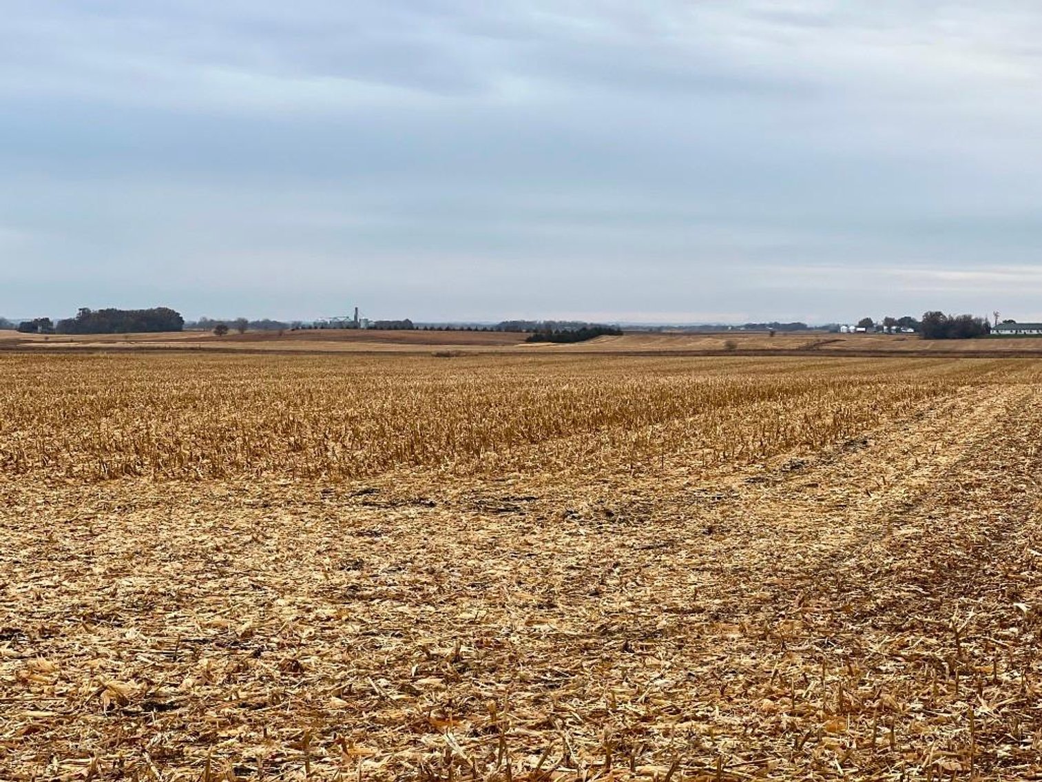 Image for DAVID WIEGERS ESTATE NO RESERVE LAND AUCTION