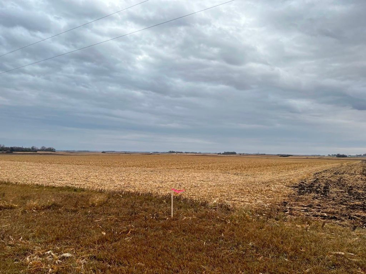 Image for DAVID WIEGERS ESTATE NO RESERVE LAND AUCTION