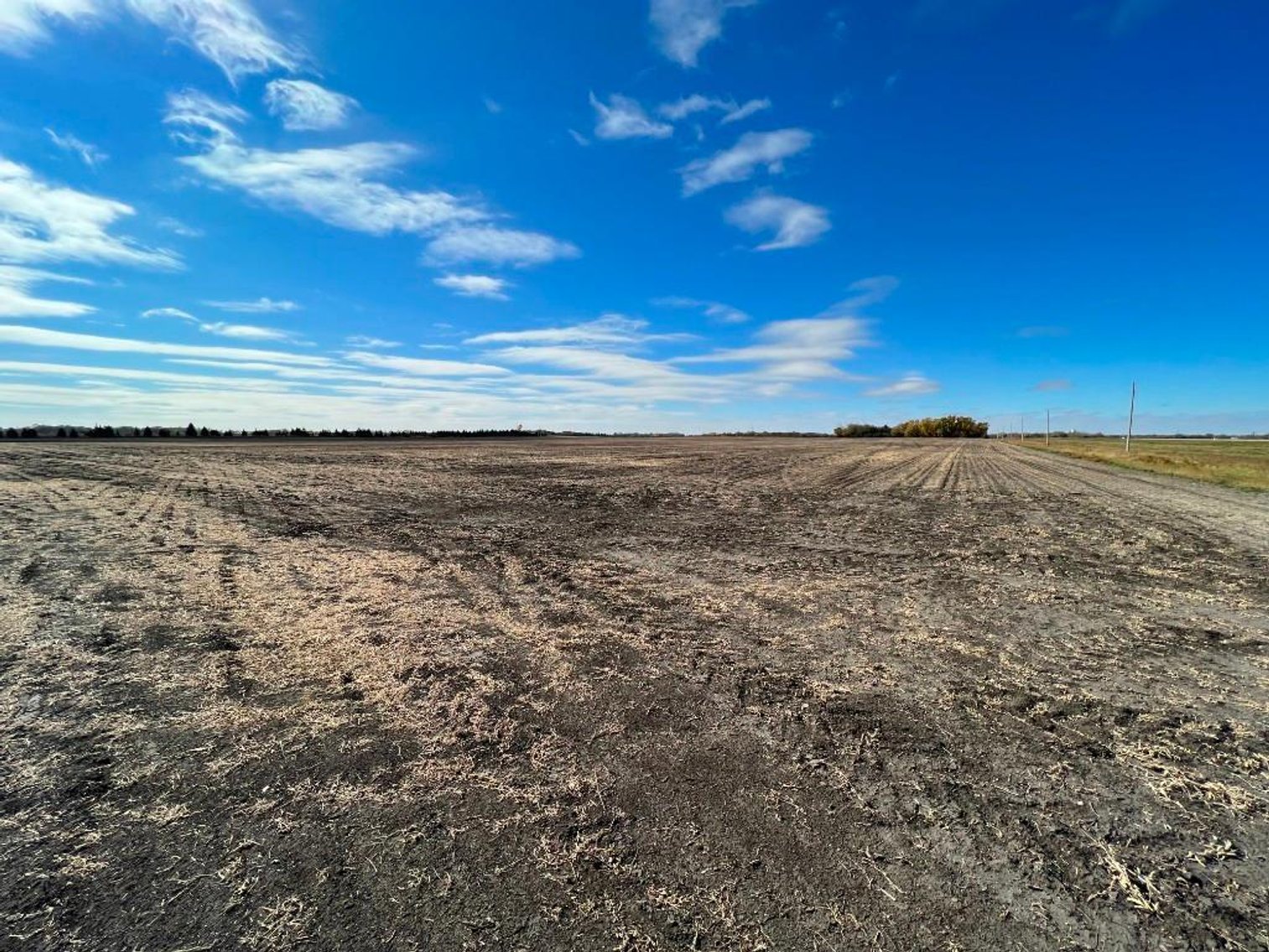 Image for JERALD KOENCK ESTATE LAND AUCTION