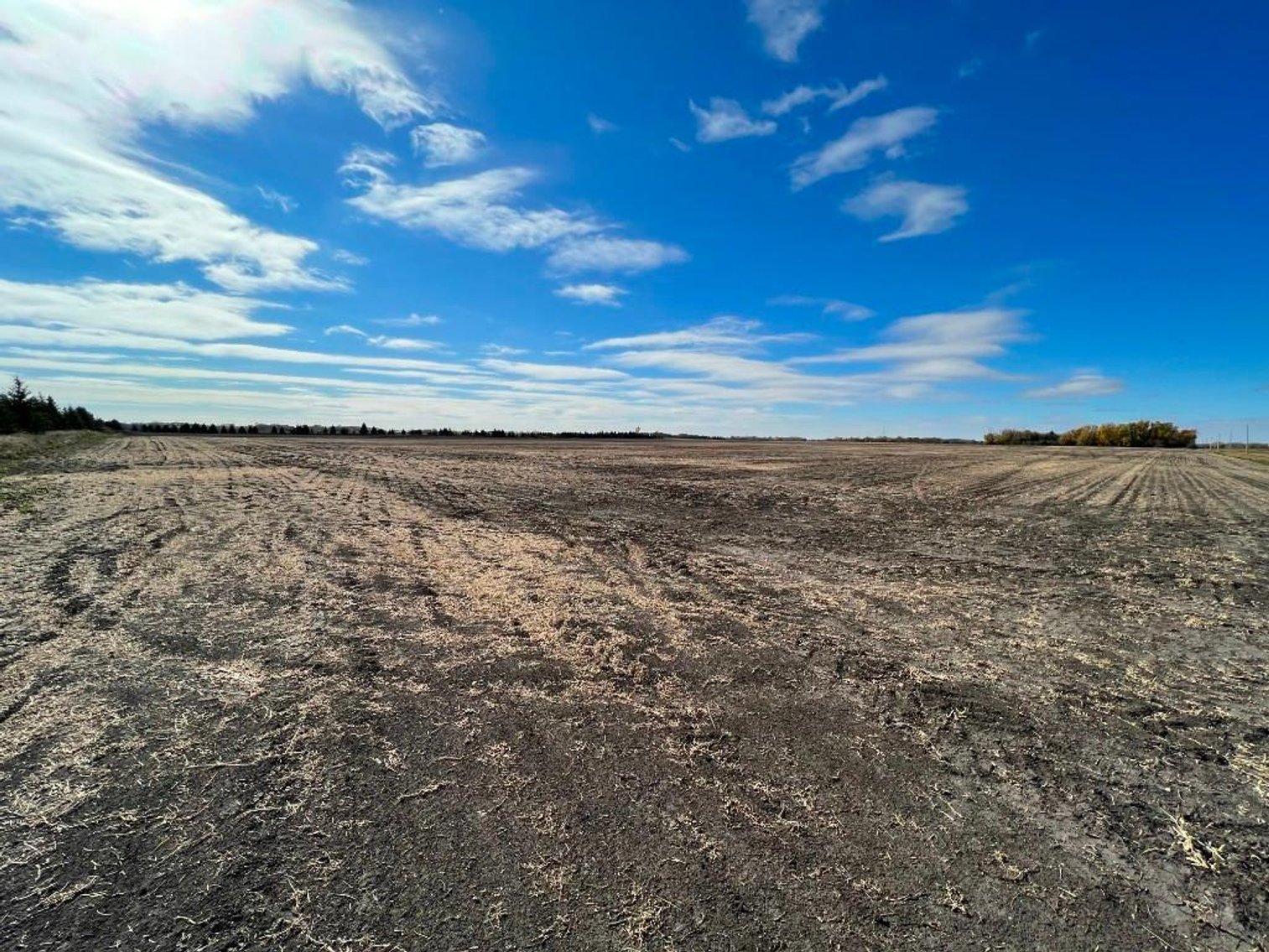 Image for JERALD KOENCK ESTATE LAND AUCTION