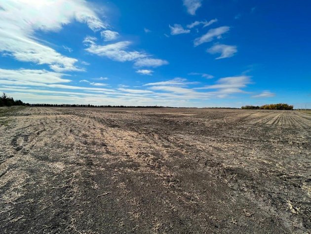 Image for JERALD KOENCK ESTATE LAND AUCTION