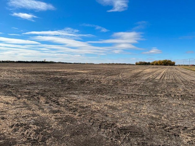 Image for JERALD KOENCK ESTATE LAND AUCTION