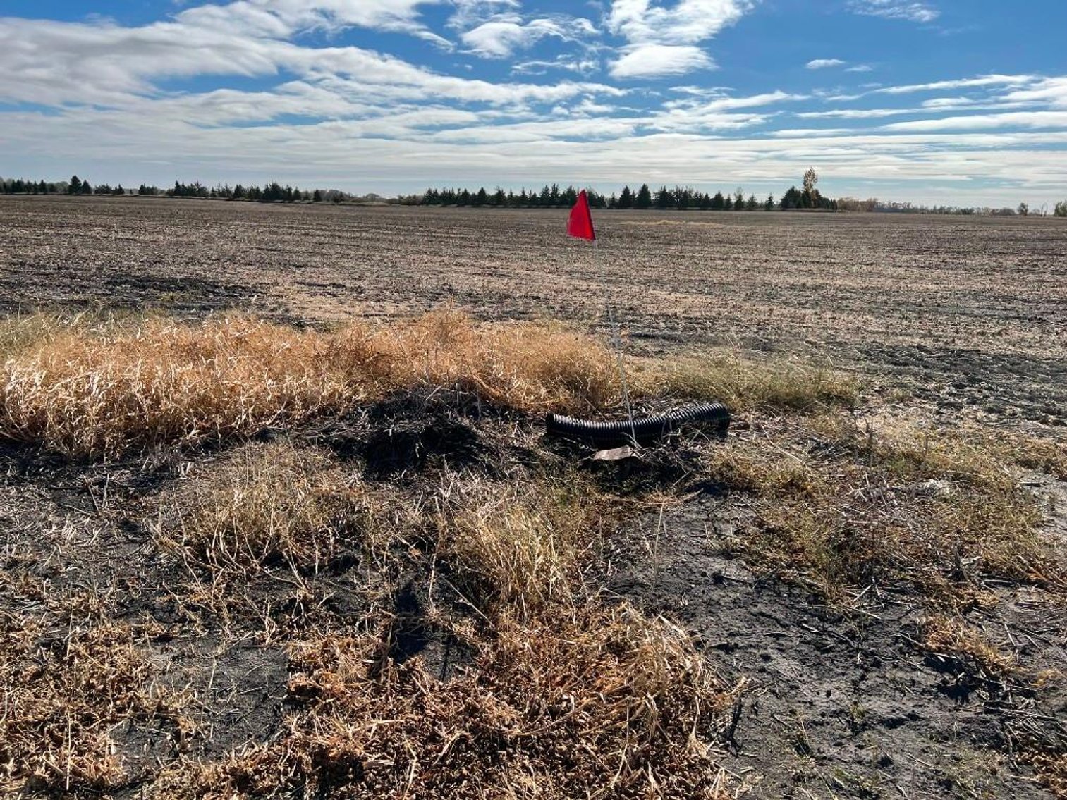 Image for JERALD KOENCK ESTATE LAND AUCTION