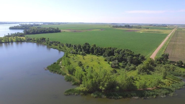 Image for ALVIN HANSON ESTATE SWIFT COUNTY FARM LAND ONLINE ONLY AUCTION 100+/- TILLABLE ACRES