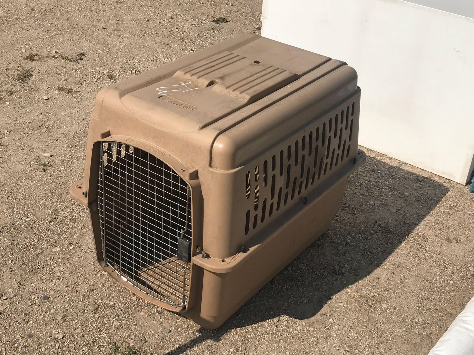 Image for SEPTEMBER ONLINE ONLY EQUIPMENT, SPORTING & RECREATION AUCTION