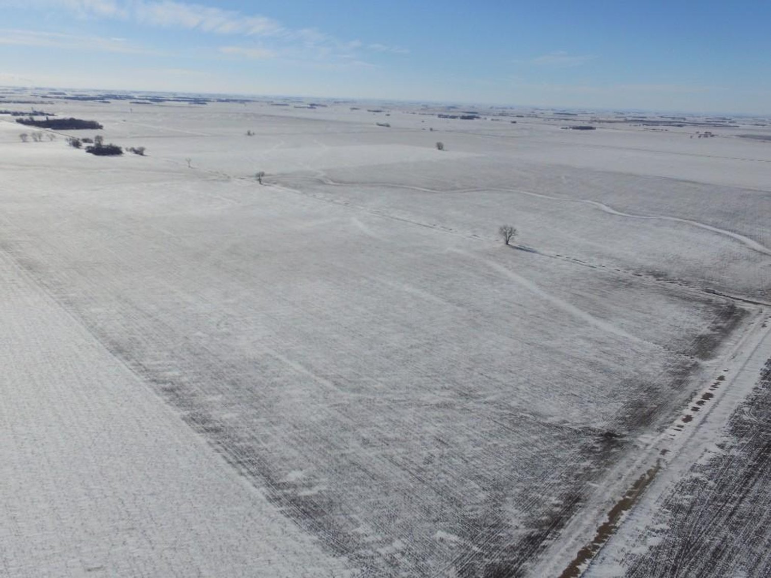 Image for TRAVERSE COUNTY FARMLAND HERBERT OSCAR BEYER ESTATE ONLINE ONLY AUCTION