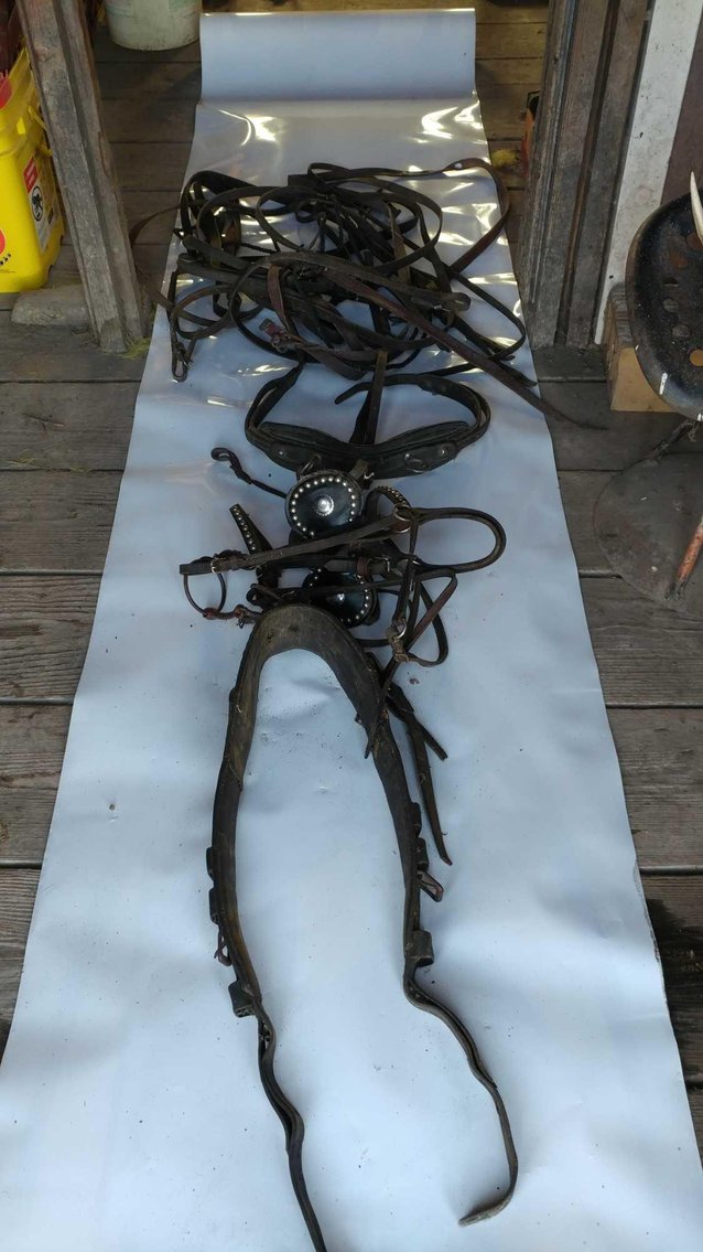 Image for BOB & DEETTA SCHELTENS ONLINE ONLY AUCTION