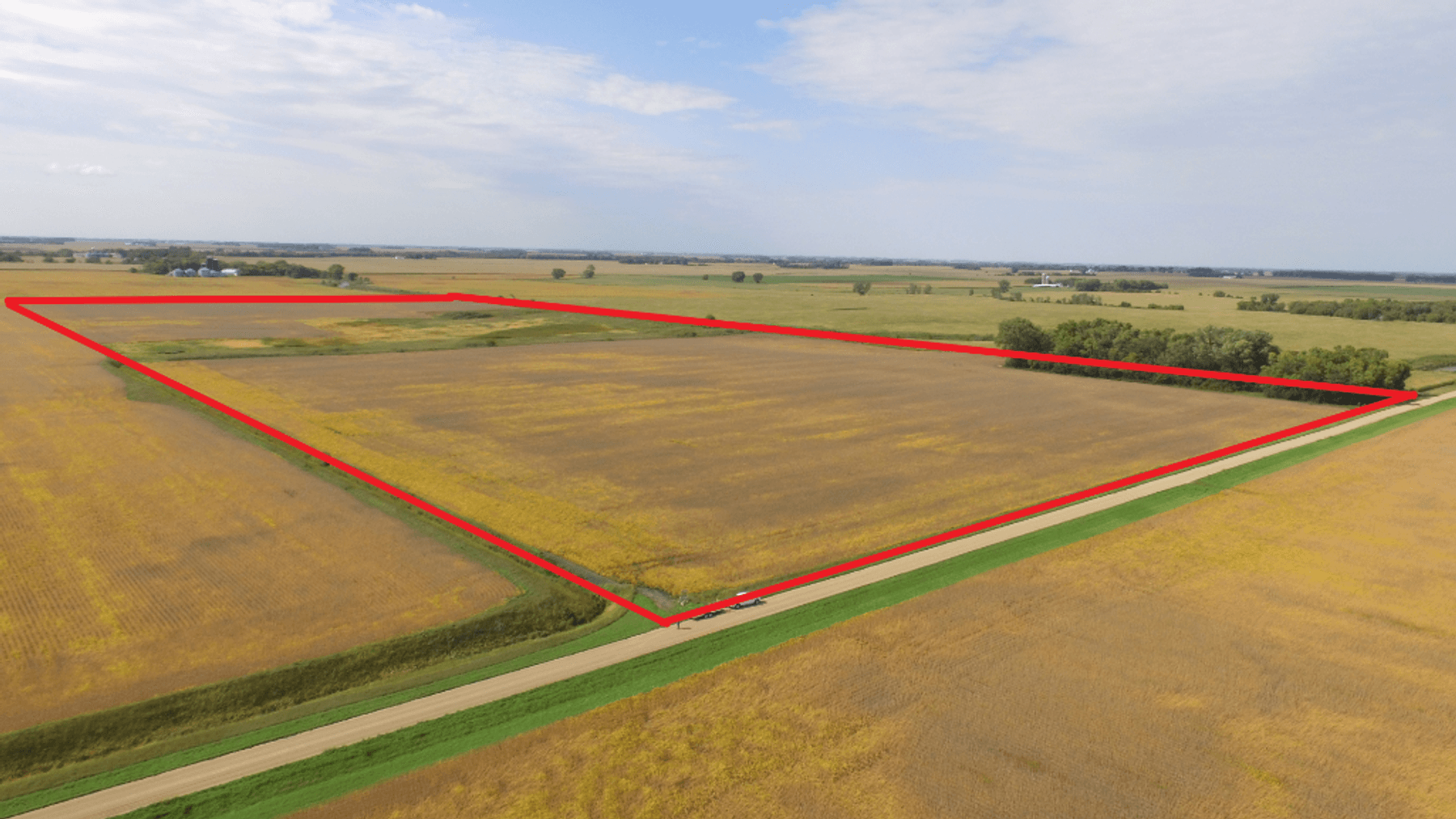 Image for EVENSON FAMILY LIVING TRUST SWIFT COUNTY FARM LAND ONLINE ONLY