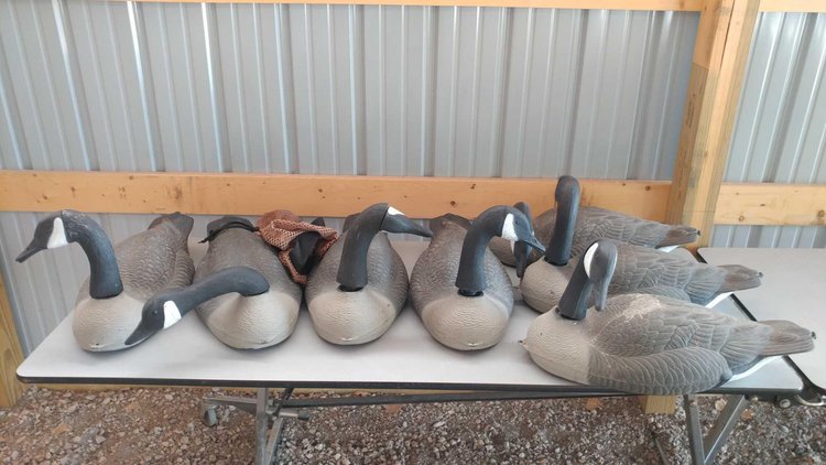 Image for SEPTEMBER ONLINE ONLY EQUIPMENT, SPORTING & RECREATION AUCTION