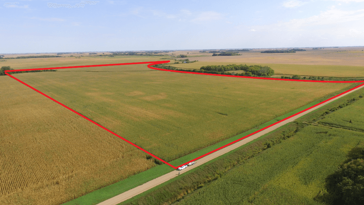 Image for EVENSON FAMILY LIVING TRUST SWIFT COUNTY FARM LAND ONLINE ONLY