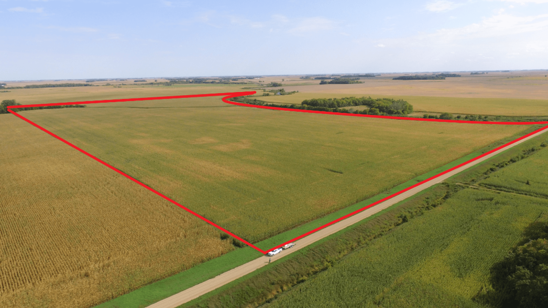 Image for EVENSON FAMILY LIVING TRUST SWIFT COUNTY FARM LAND ONLINE ONLY