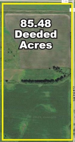 Image for EINER JENSEN ESTATE 697 ACRES IN POPE COUNTY ONLINE ONLY LAND AUCTION