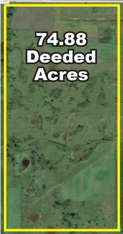 Image for EINER JENSEN ESTATE 697 ACRES IN POPE COUNTY ONLINE ONLY LAND AUCTION