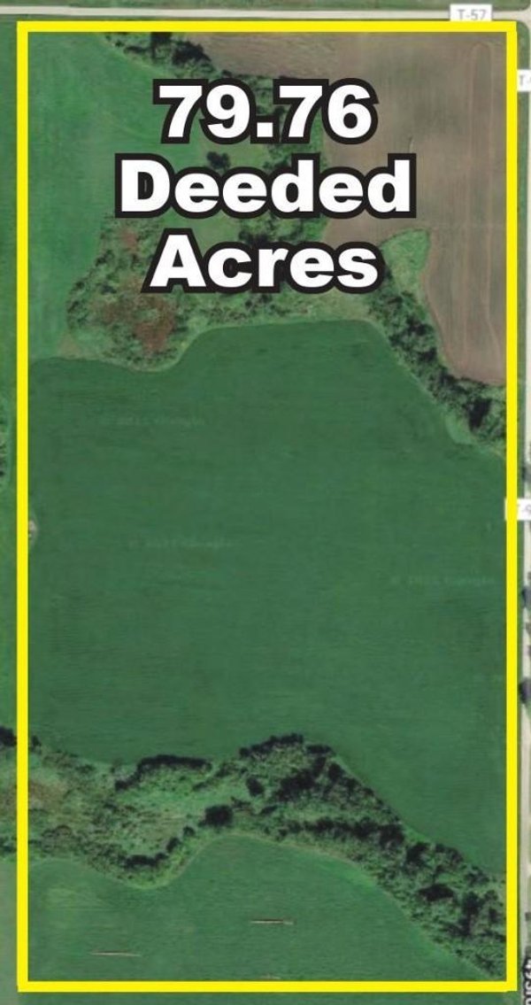 Image for EINER JENSEN ESTATE 697 ACRES IN POPE COUNTY ONLINE ONLY LAND AUCTION