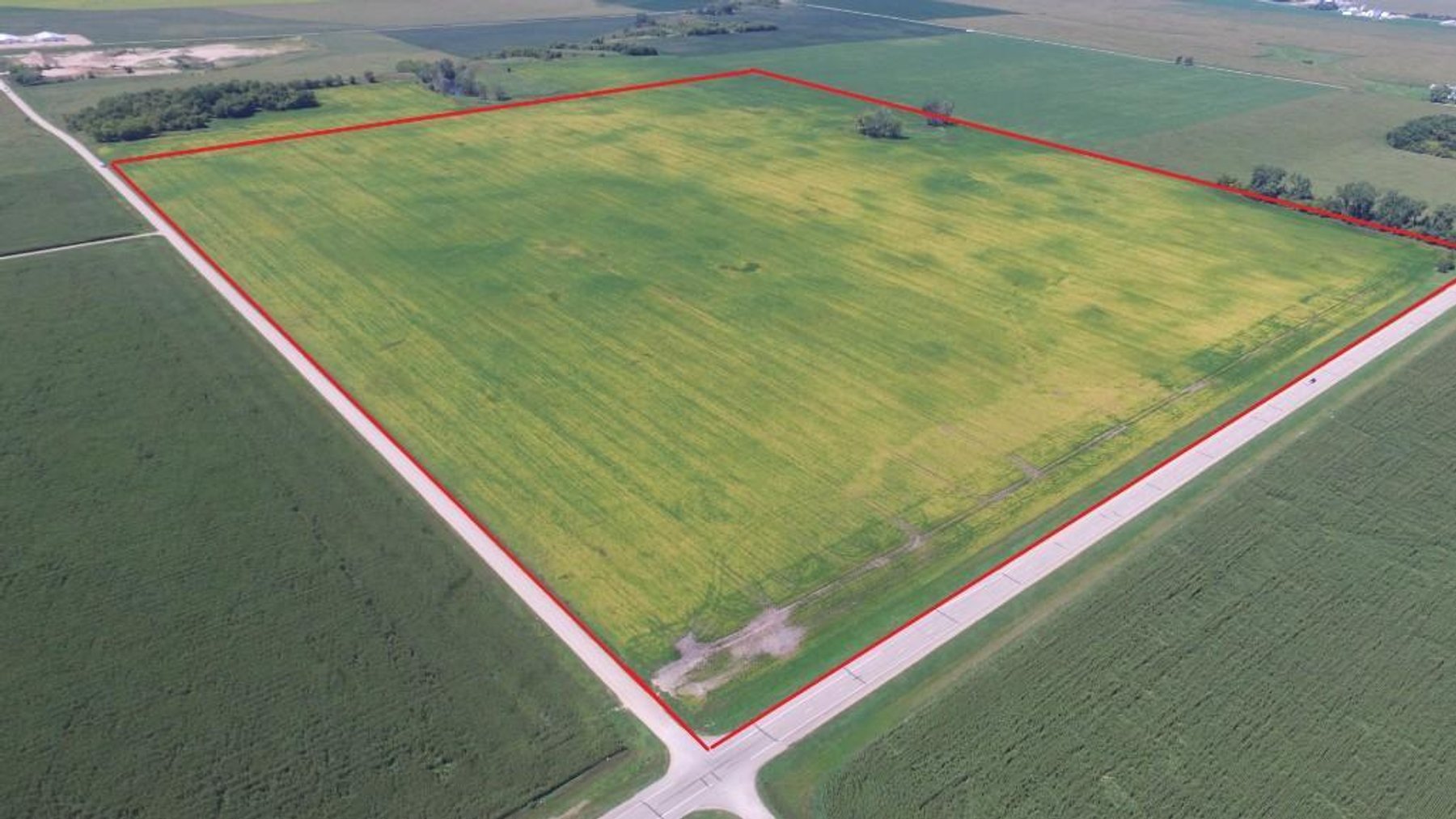 Image for DORISMAE SCHLIEP MEERS ESTATE ONLINE ONLY LAND AUCTION