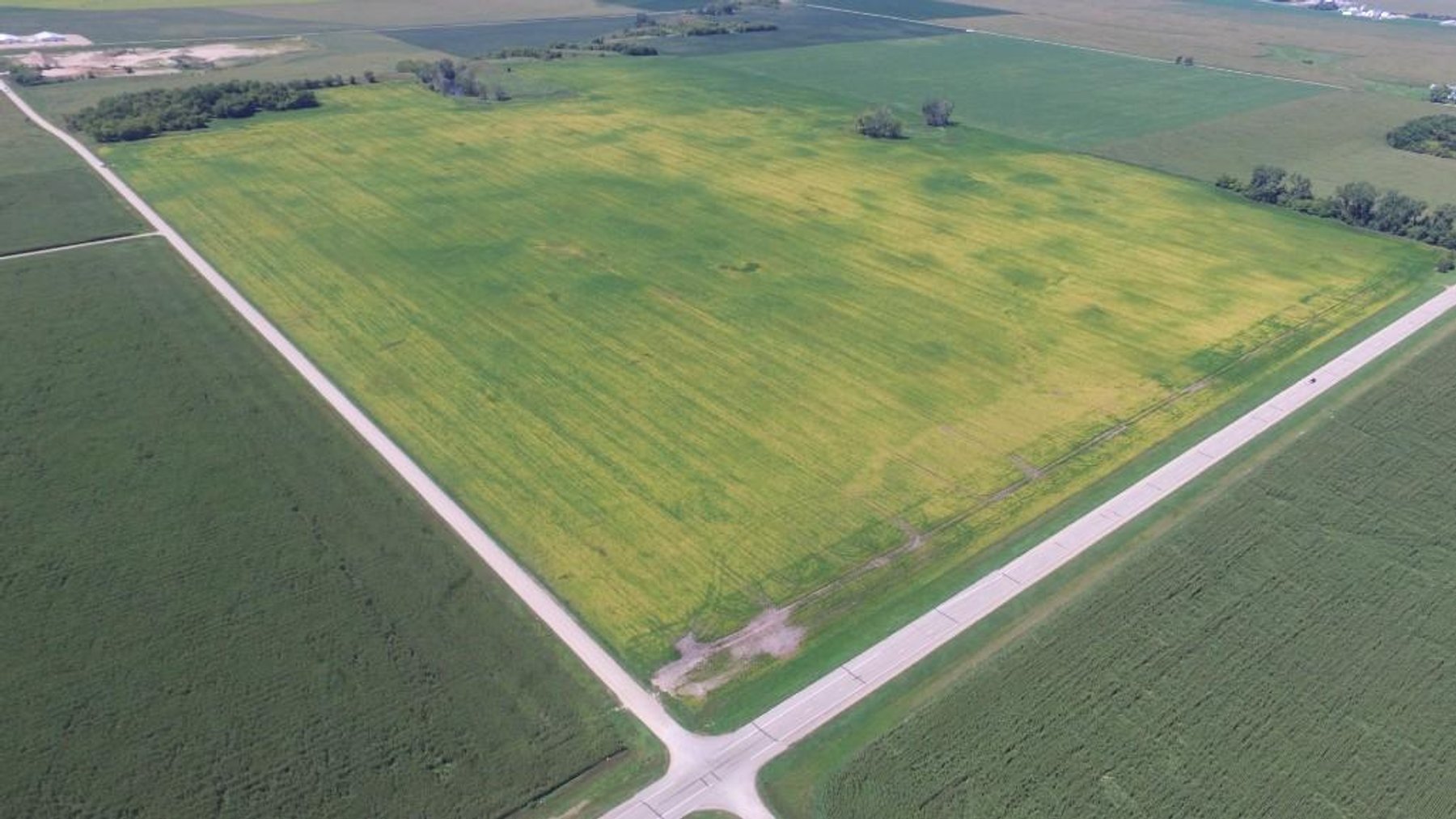 Image for DORISMAE SCHLIEP MEERS ESTATE ONLINE ONLY LAND AUCTION