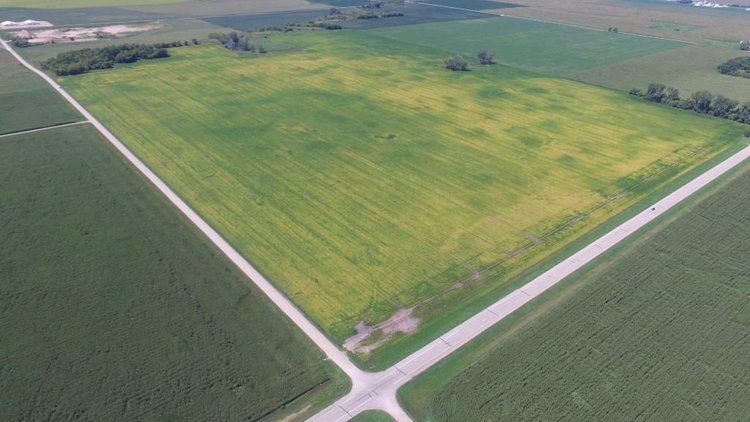 Image for DORISMAE SCHLIEP MEERS ESTATE ONLINE ONLY LAND AUCTION