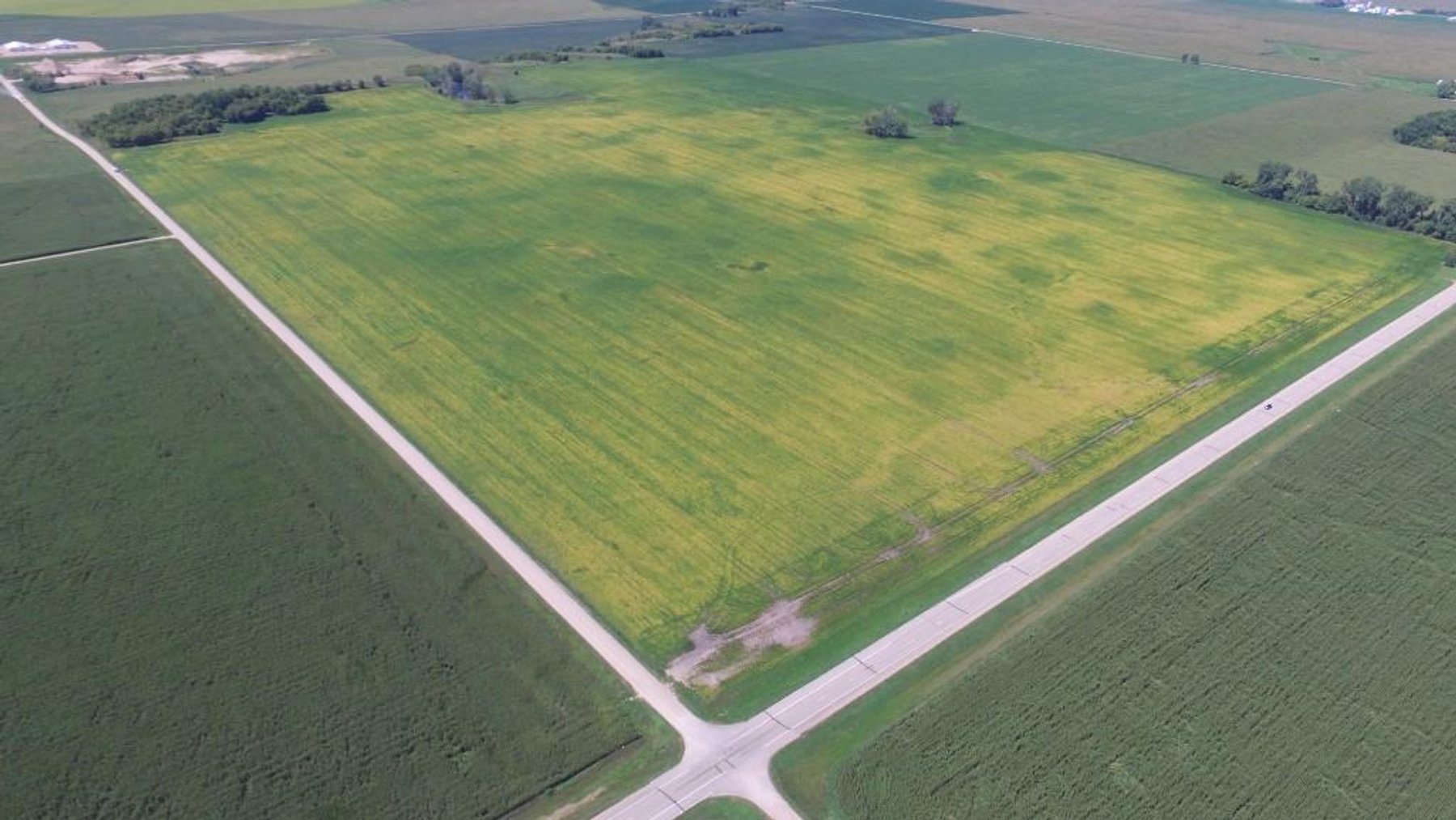 Image for DORISMAE SCHLIEP MEERS ESTATE ONLINE ONLY LAND AUCTION