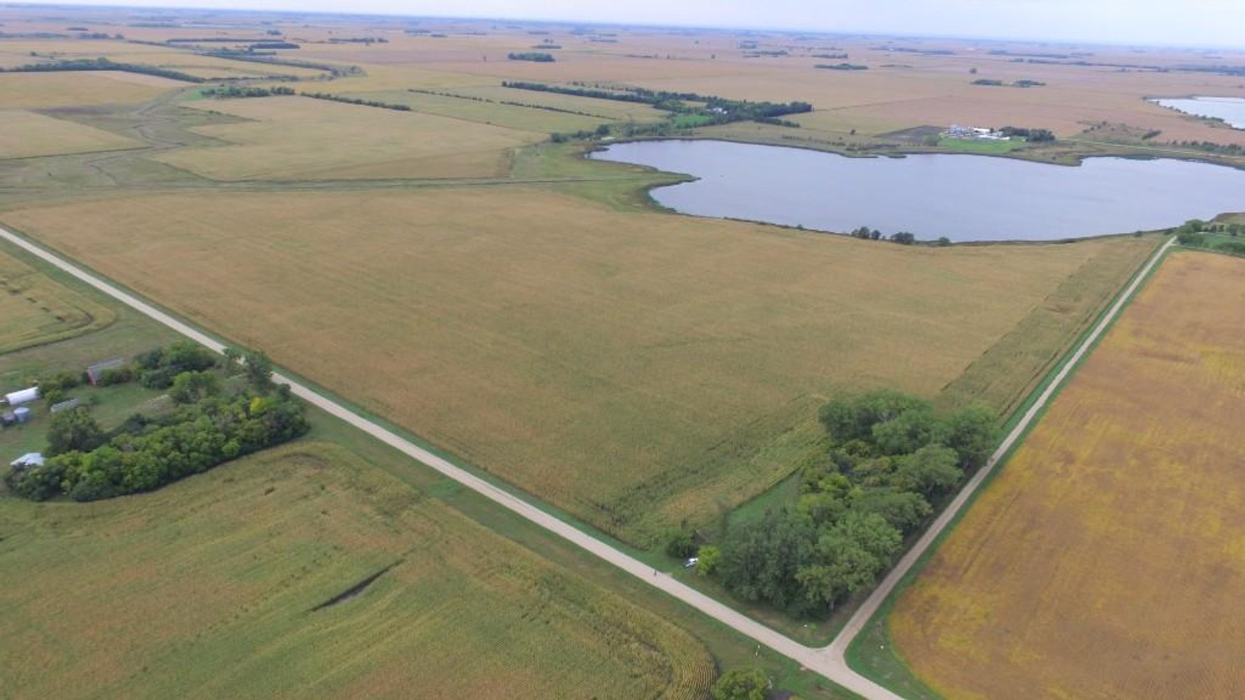 Image for NORMA JEAN SHELSTAD TRUST 181 ACRES IN STEVENS COUNTY MN ONLINE ONLY AUCTION