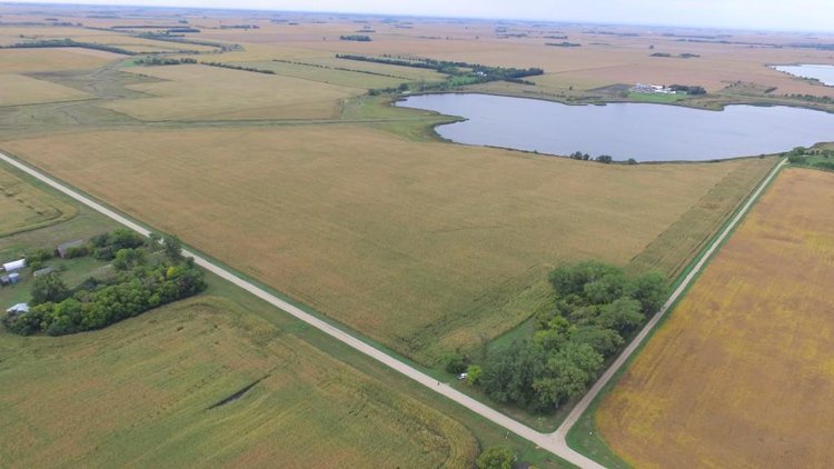 Image for NORMA JEAN SHELSTAD TRUST 181 ACRES IN STEVENS COUNTY MN ONLINE ONLY AUCTION