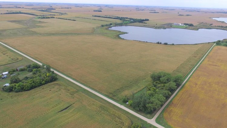 Image for NORMA JEAN SHELSTAD TRUST 181 ACRES IN STEVENS COUNTY MN ONLINE ONLY AUCTION