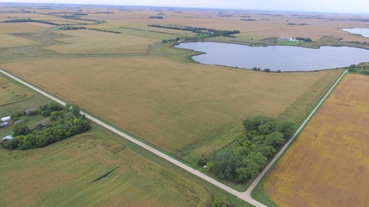 Image for NORMA JEAN SHELSTAD TRUST 181 ACRES IN STEVENS COUNTY MN ONLINE ONLY AUCTION