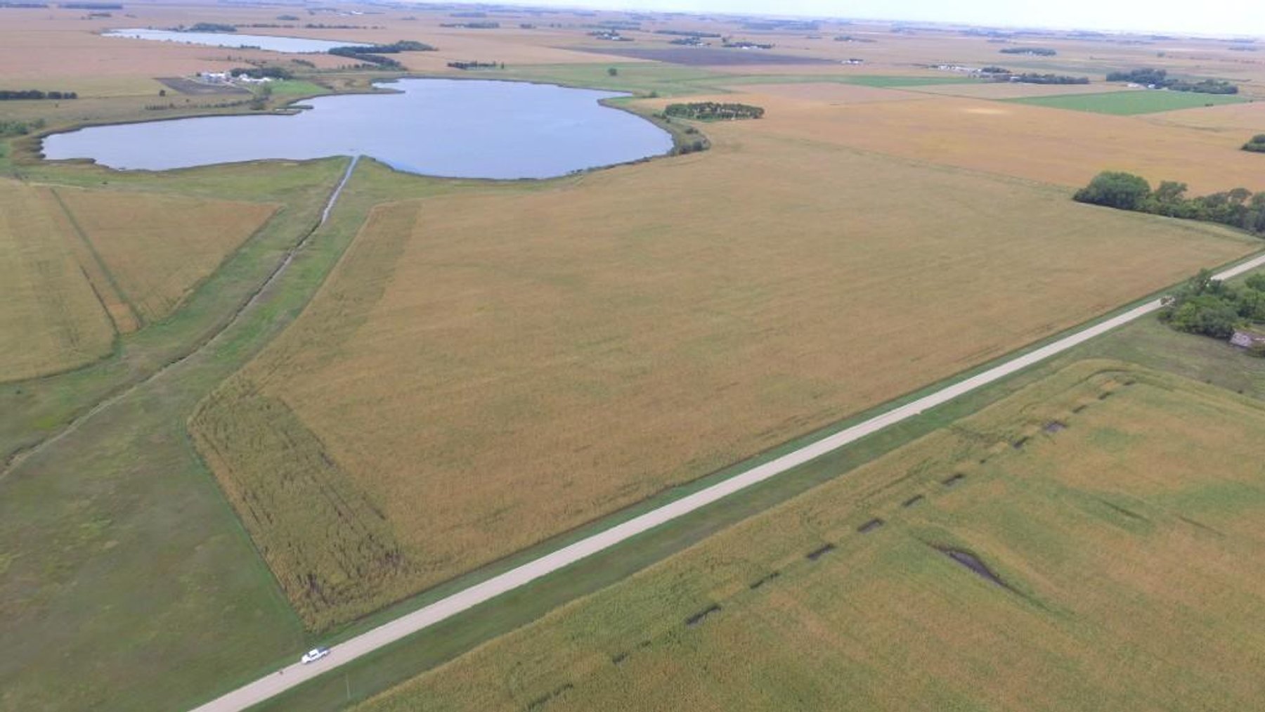 Image for NORMA JEAN SHELSTAD TRUST 181 ACRES IN STEVENS COUNTY MN ONLINE ONLY AUCTION