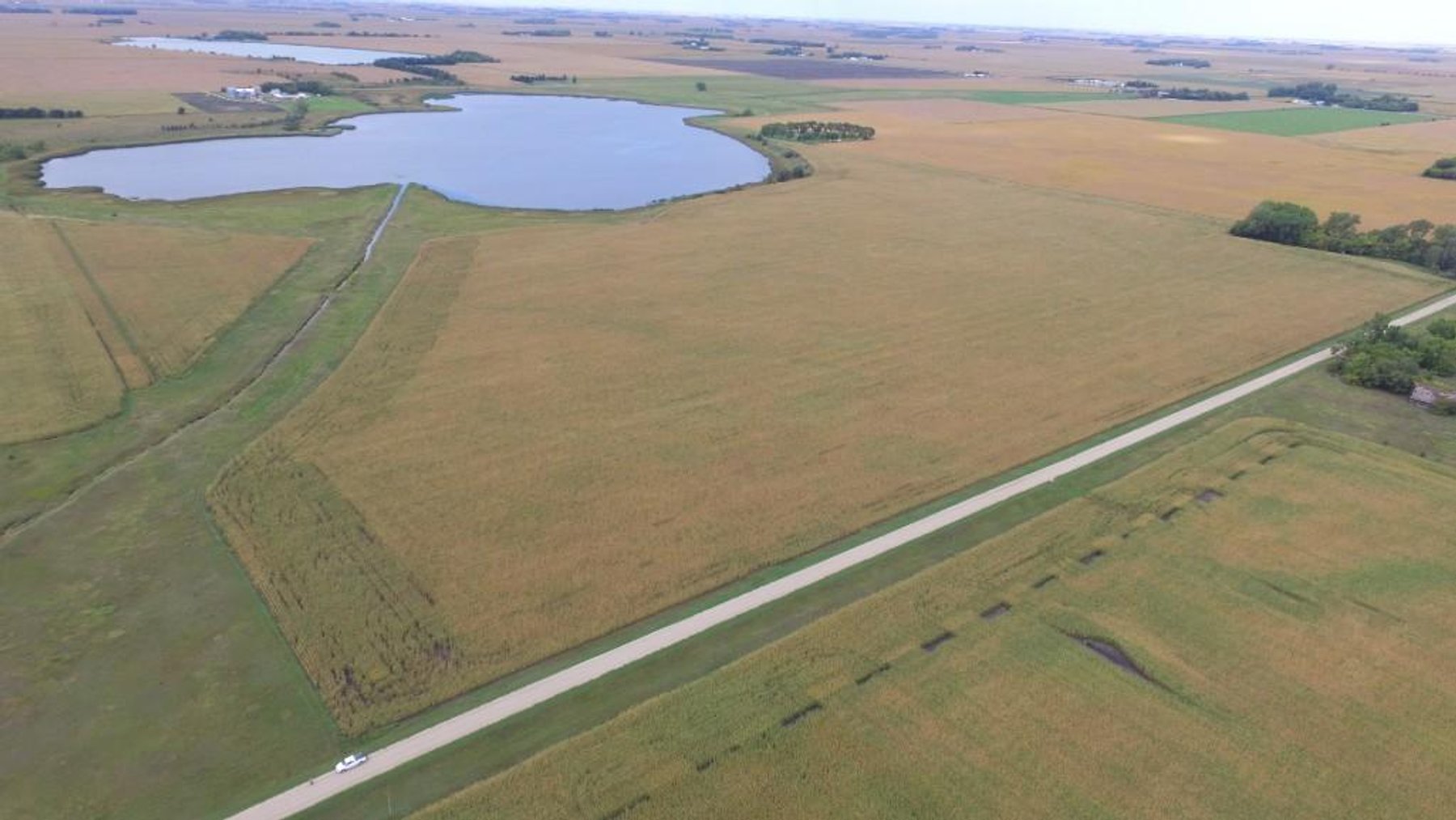 Image for NORMA JEAN SHELSTAD TRUST 181 ACRES IN STEVENS COUNTY MN ONLINE ONLY AUCTION