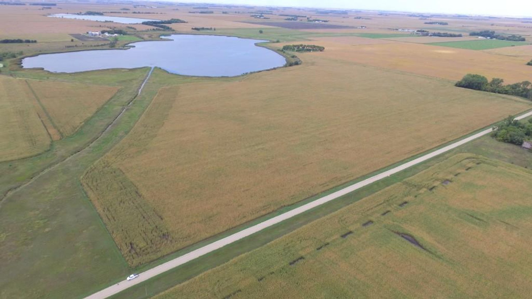 Image for NORMA JEAN SHELSTAD TRUST 181 ACRES IN STEVENS COUNTY MN ONLINE ONLY AUCTION