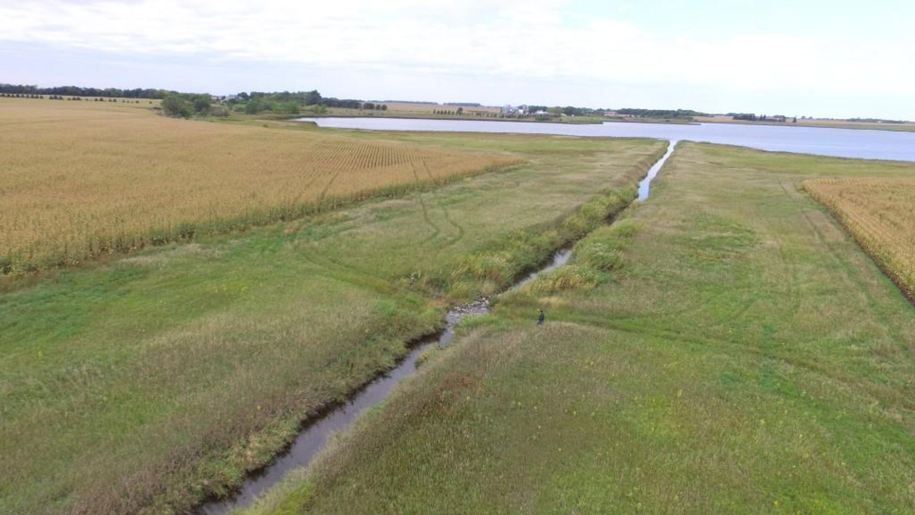 Image for NORMA JEAN SHELSTAD TRUST 181 ACRES IN STEVENS COUNTY MN ONLINE ONLY AUCTION