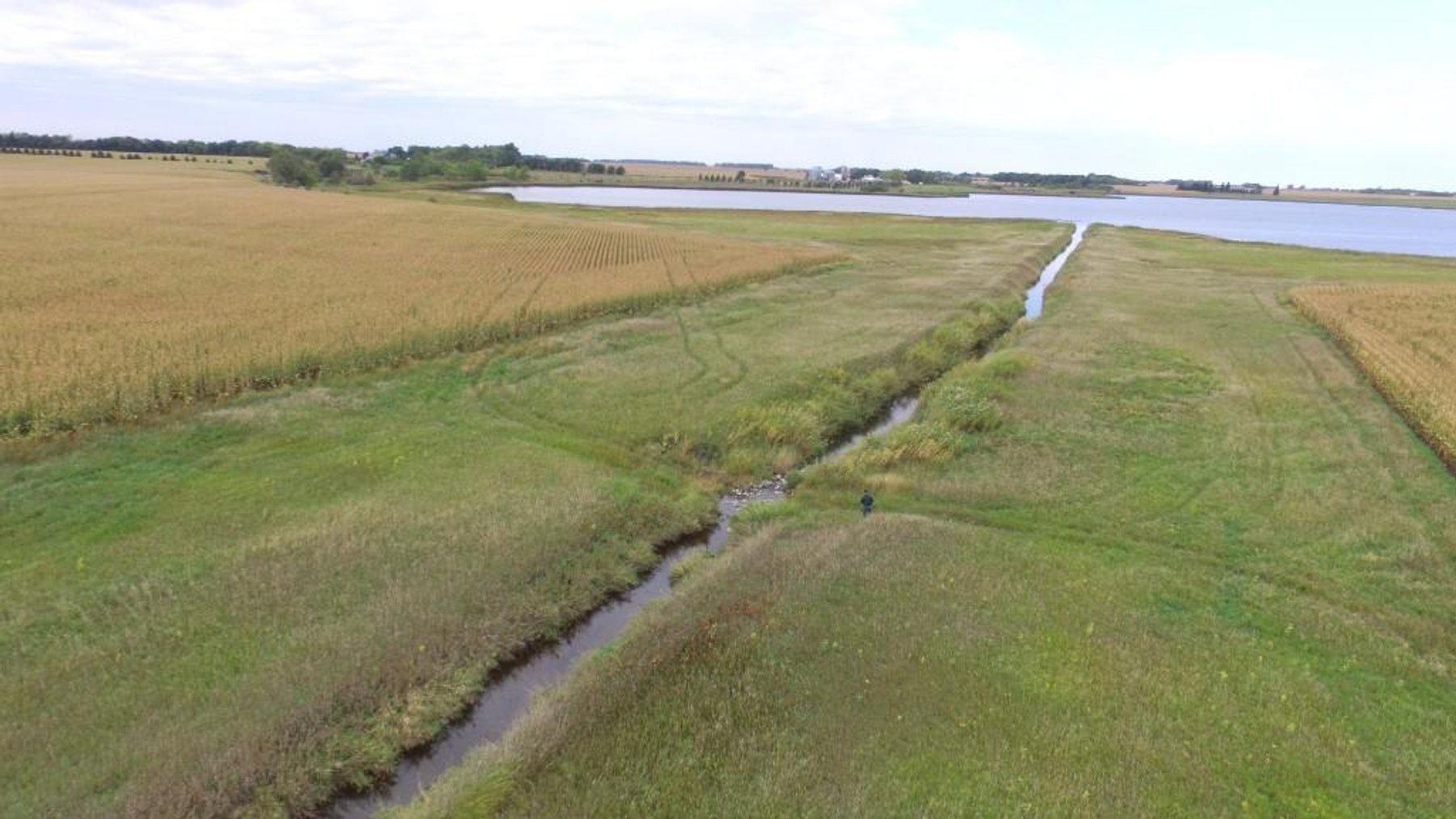 Image for NORMA JEAN SHELSTAD TRUST 181 ACRES IN STEVENS COUNTY MN ONLINE ONLY AUCTION