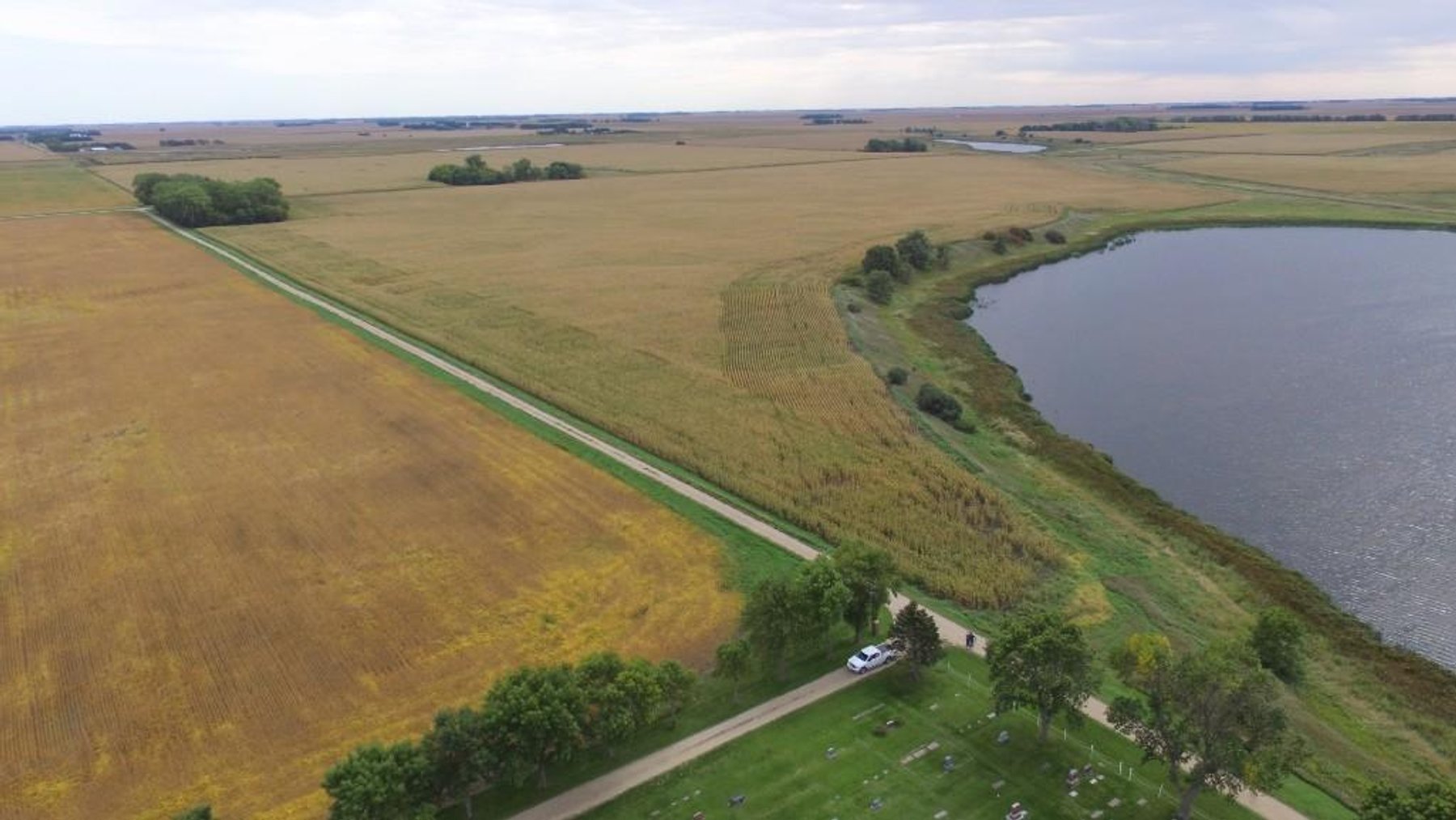 Image for NORMA JEAN SHELSTAD TRUST 181 ACRES IN STEVENS COUNTY MN ONLINE ONLY AUCTION