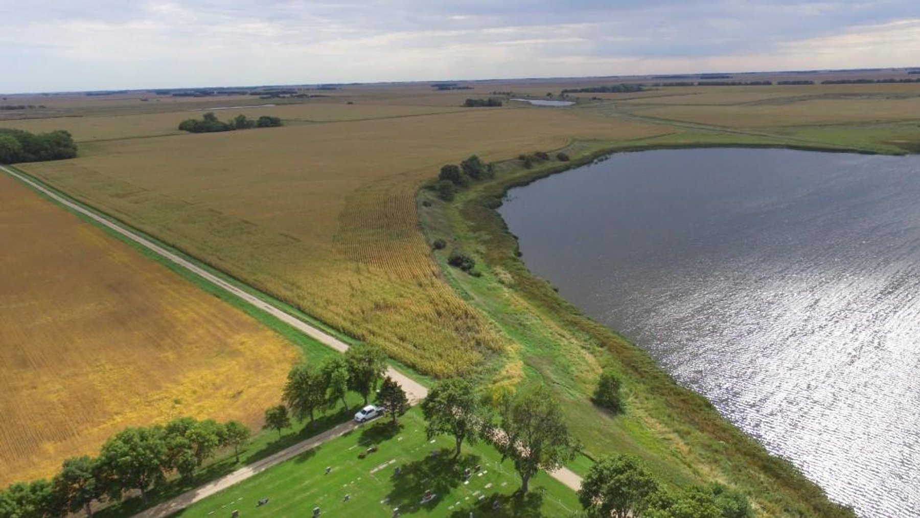 Image for NORMA JEAN SHELSTAD TRUST 181 ACRES IN STEVENS COUNTY MN ONLINE ONLY AUCTION