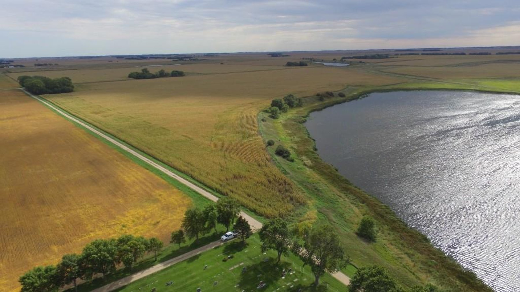 Image for NORMA JEAN SHELSTAD TRUST 181 ACRES IN STEVENS COUNTY MN ONLINE ONLY AUCTION