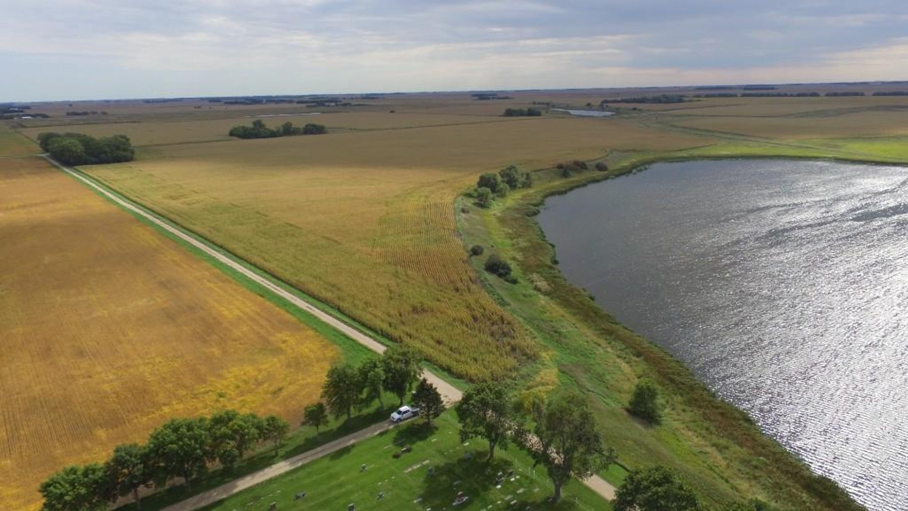 Image for NORMA JEAN SHELSTAD TRUST 181 ACRES IN STEVENS COUNTY MN ONLINE ONLY AUCTION
