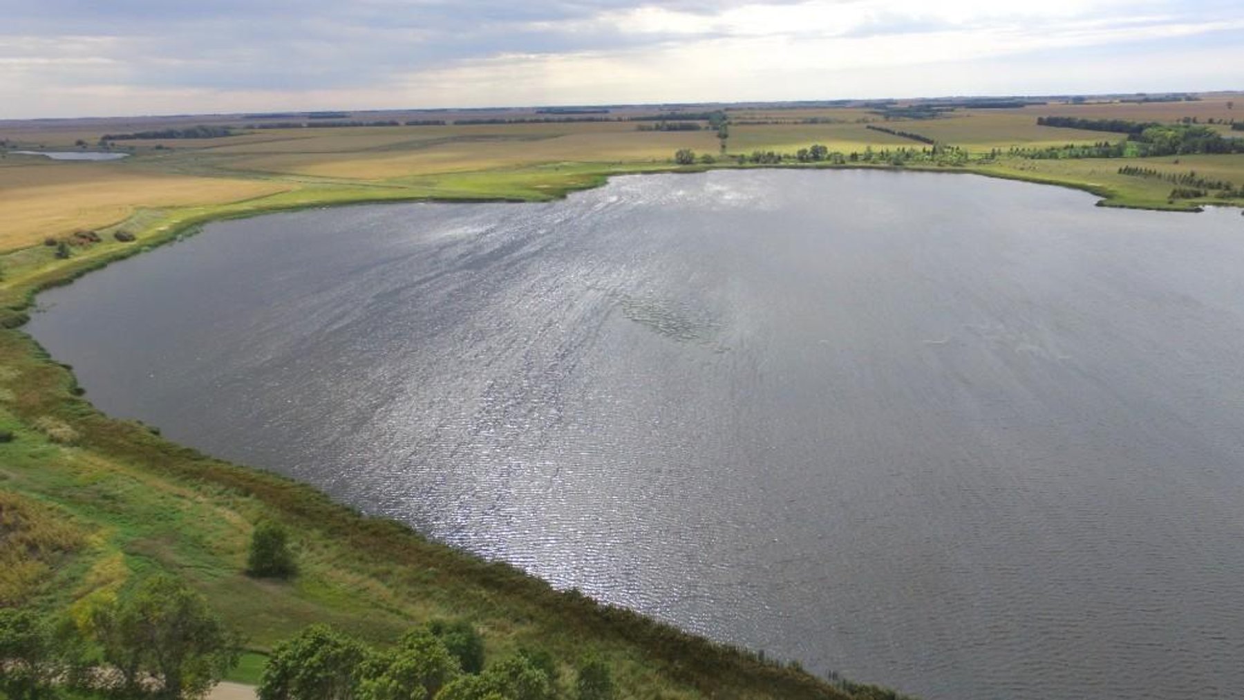 Image for NORMA JEAN SHELSTAD TRUST 181 ACRES IN STEVENS COUNTY MN ONLINE ONLY AUCTION