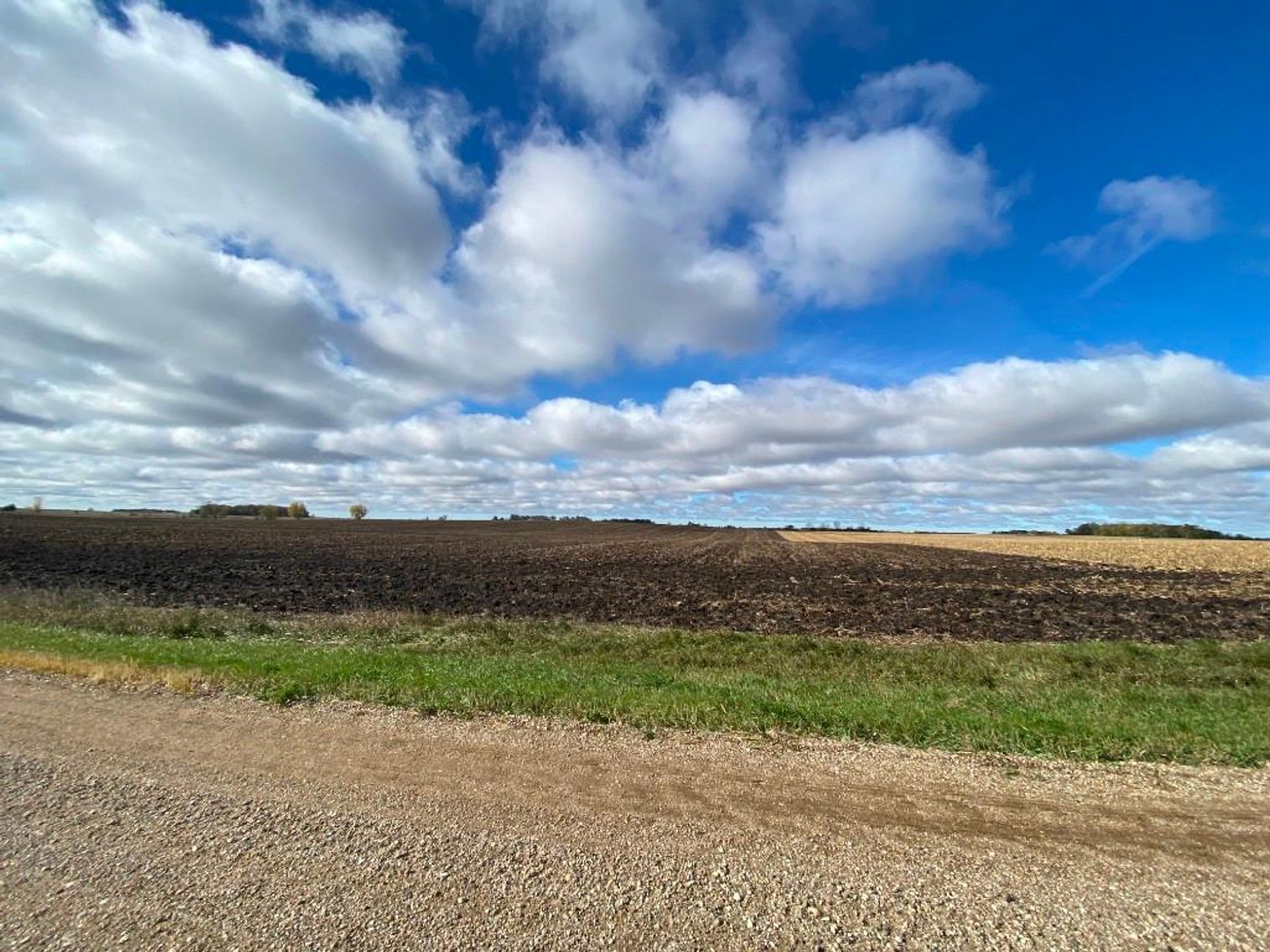 Image for DENNIS & BERTHA VOSS ESTATE ONLINE ONLY LAND AUCTION