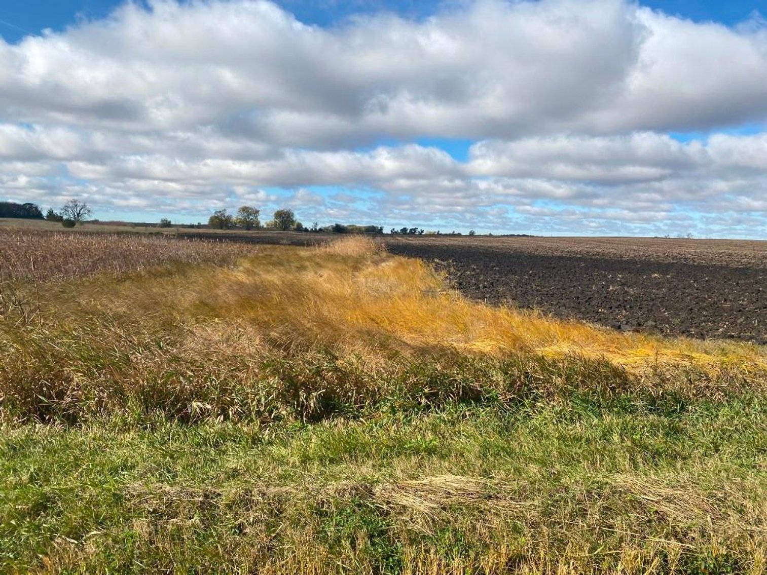 Image for DENNIS & BERTHA VOSS ESTATE ONLINE ONLY LAND AUCTION