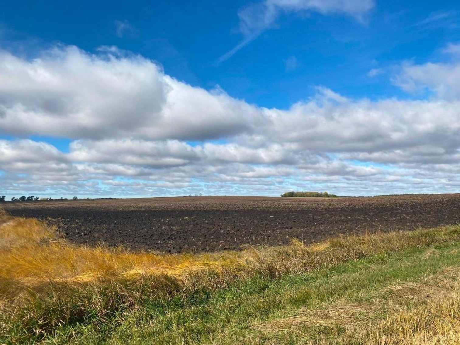 Image for DENNIS & BERTHA VOSS ESTATE ONLINE ONLY LAND AUCTION