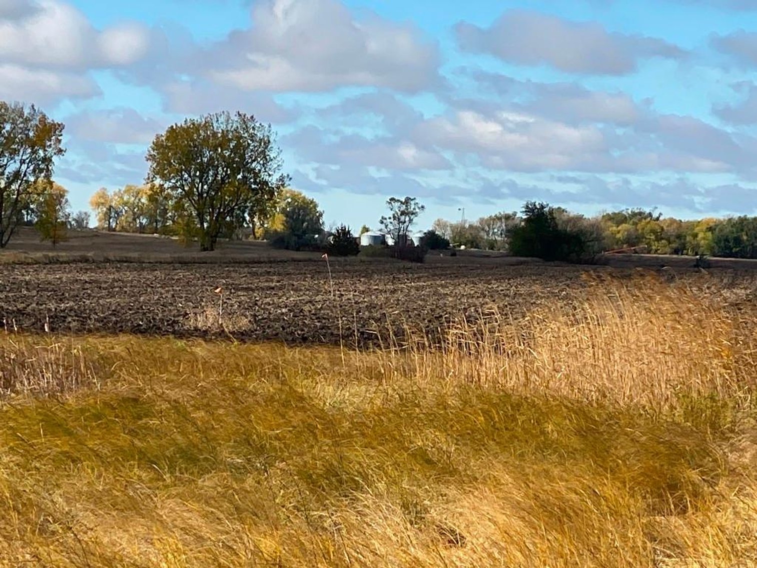 Image for DENNIS & BERTHA VOSS ESTATE ONLINE ONLY LAND AUCTION